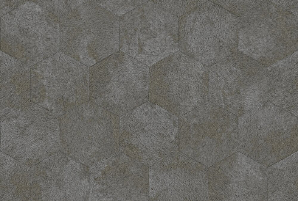 Dutch Wall Decor Philipp Plein 2 Z81027