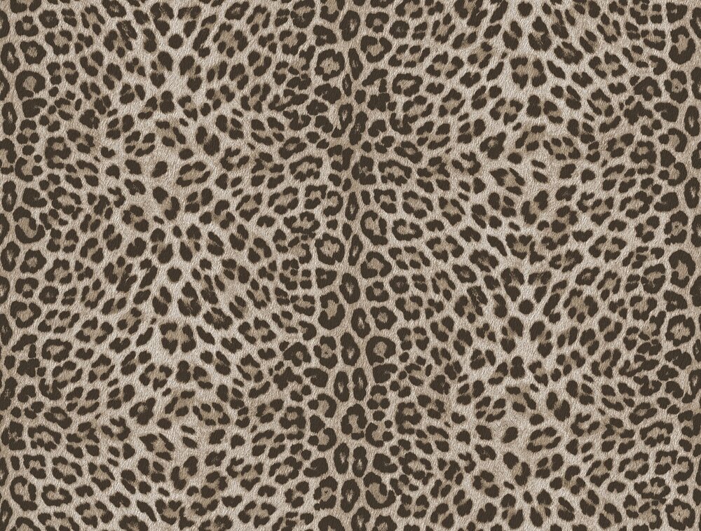 Dutch Wall Decor Philipp Plein 2 Z81028