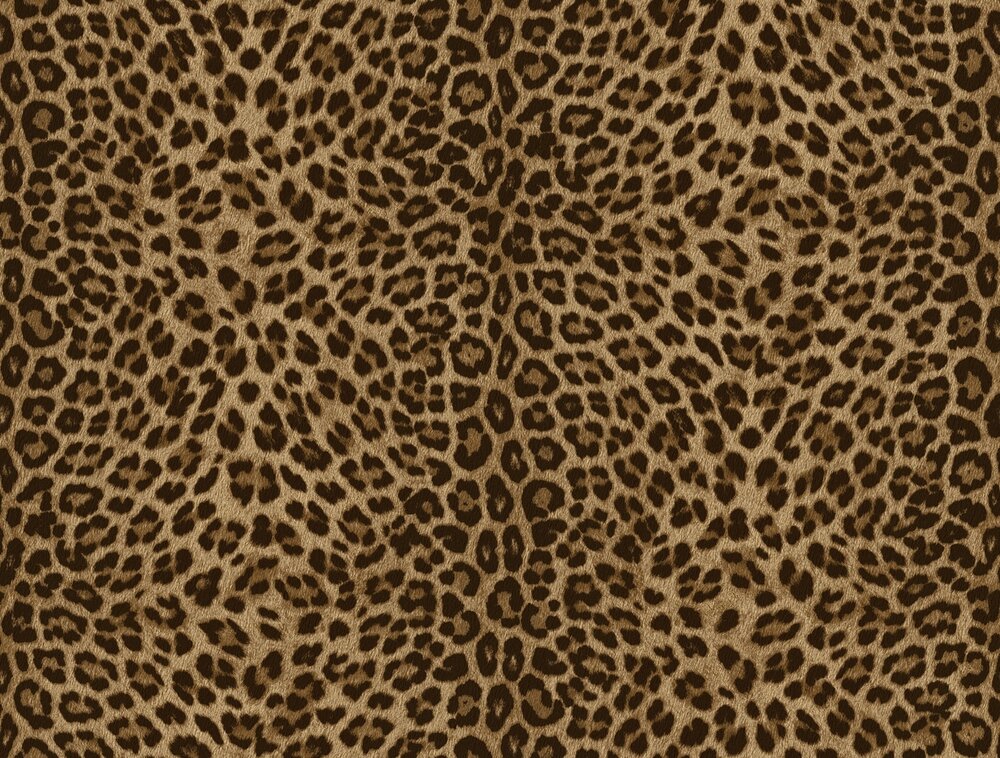 Dutch Wall Decor Philipp Plein 2 Z81029