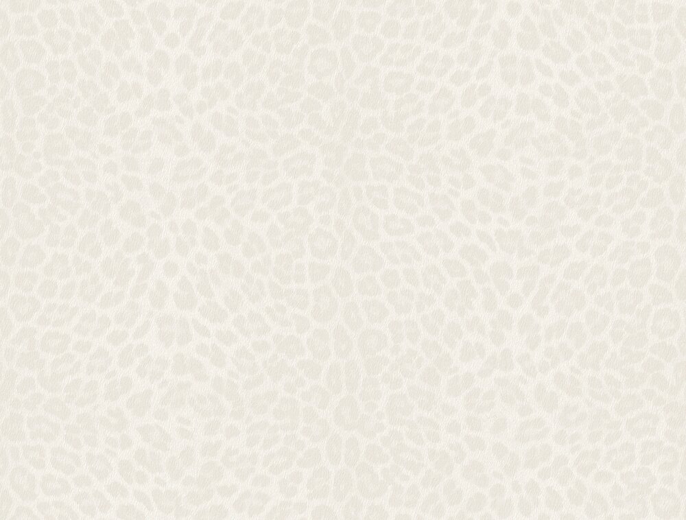 Dutch Wall Decor Philipp Plein 2 Z81030