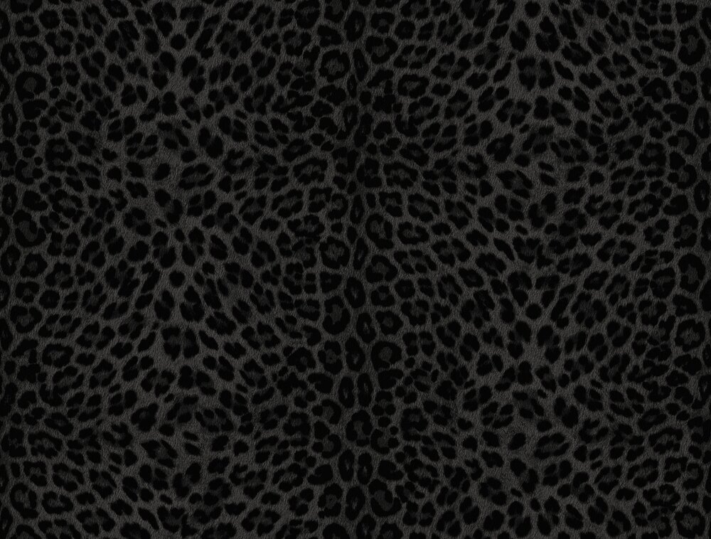 Dutch Wall Decor Philipp Plein 2 Z81031