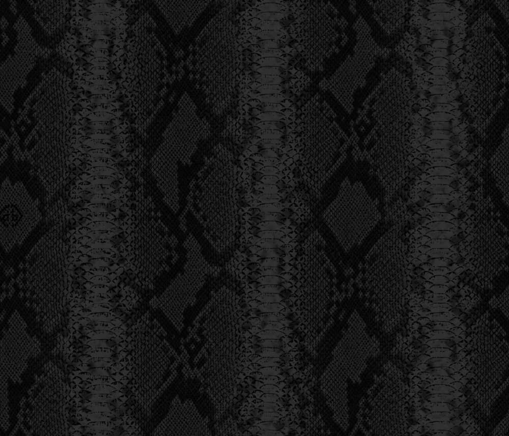 Dutch Wall Decor Philipp Plein 2 Z81034