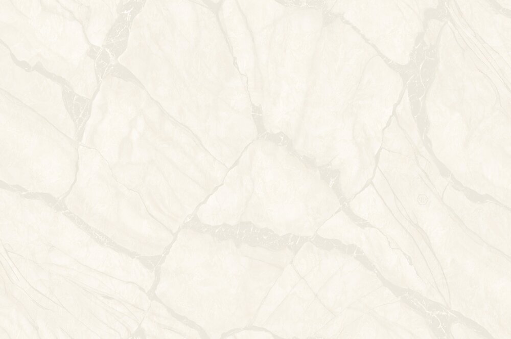 Dutch Wall Decor Philipp Plein 2 Z81042