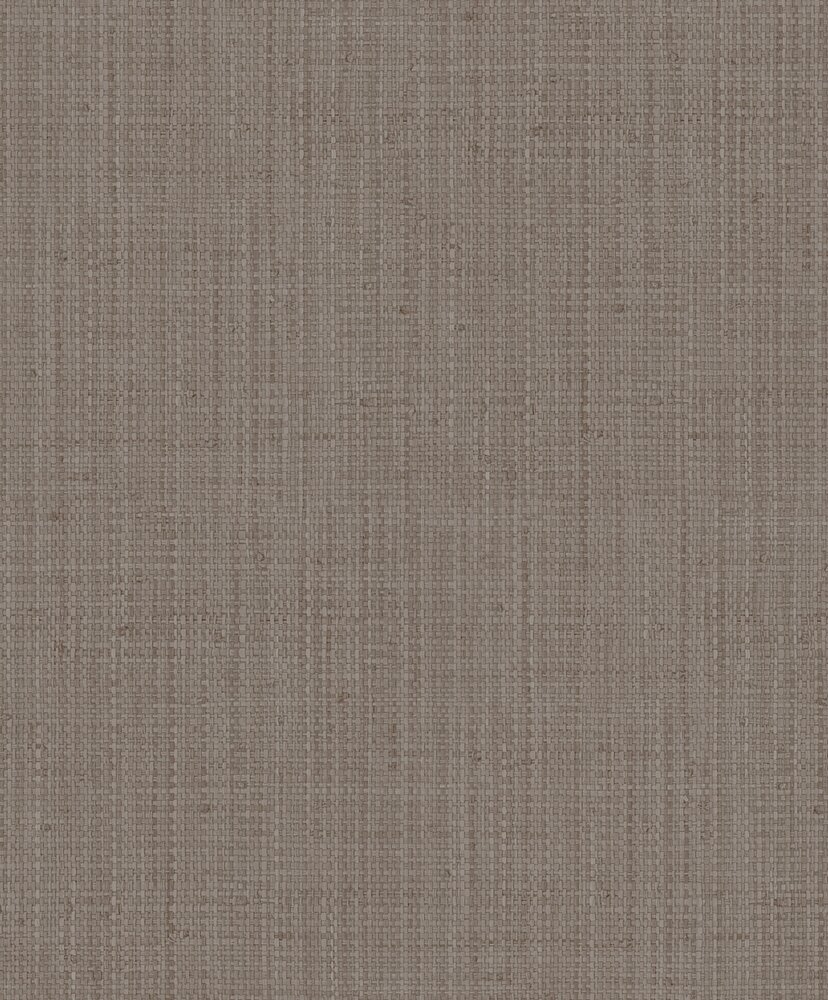 HookedOnWalls BOSSA NOVA 22403 SUMA