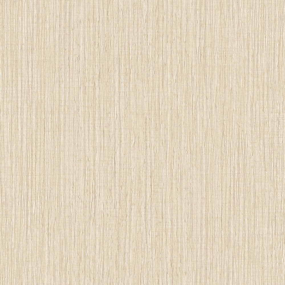 HookedOnWalls BOSSA NOVA 22430 RIO