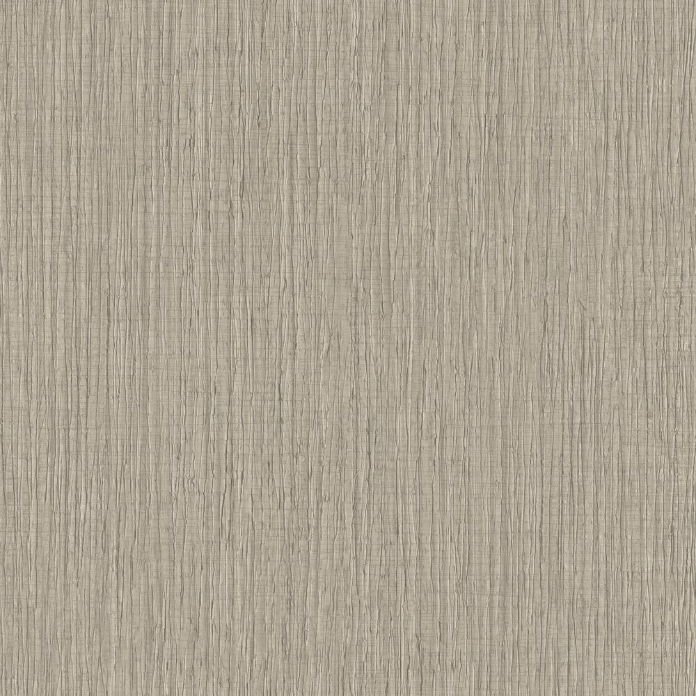 HookedOnWalls BOSSA NOVA 22431 RIO