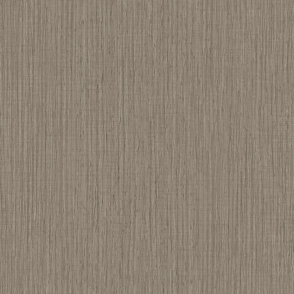 HookedOnWalls BOSSA NOVA 22432 RIO