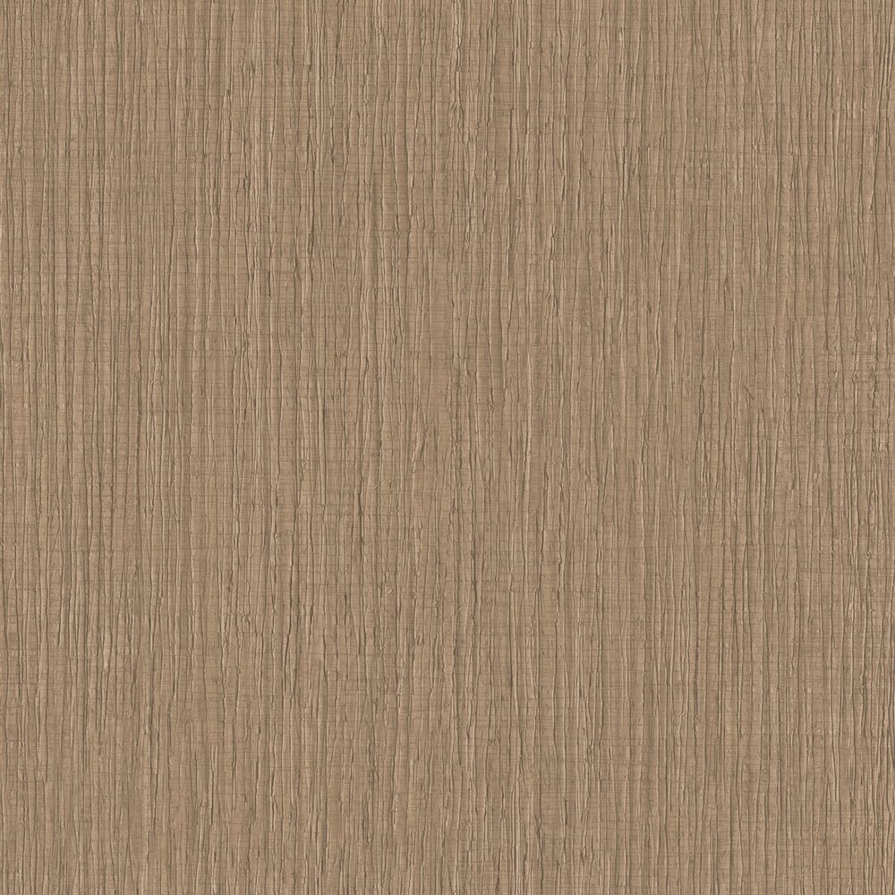 HookedOnWalls BOSSA NOVA 22433 RIO