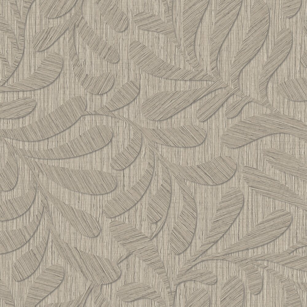 HookedOnWalls BOSSA NOVA 22441 JAZZ