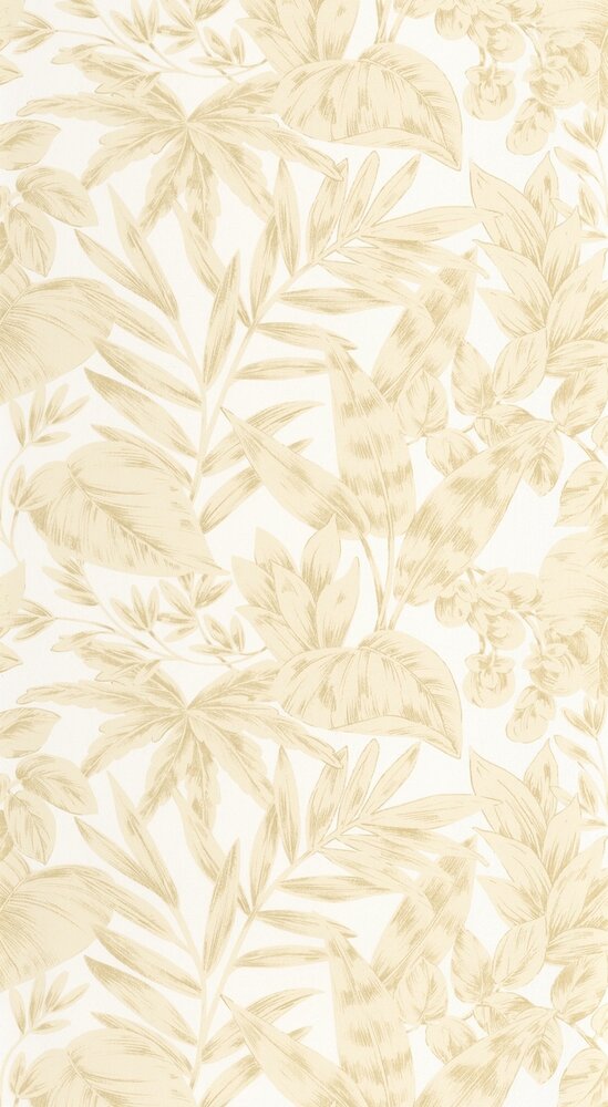 Caselio Elea ELEA107361010 Beige