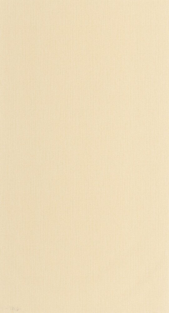 Caselio Natt&eacute; 2 NAE2101561379 Beige
