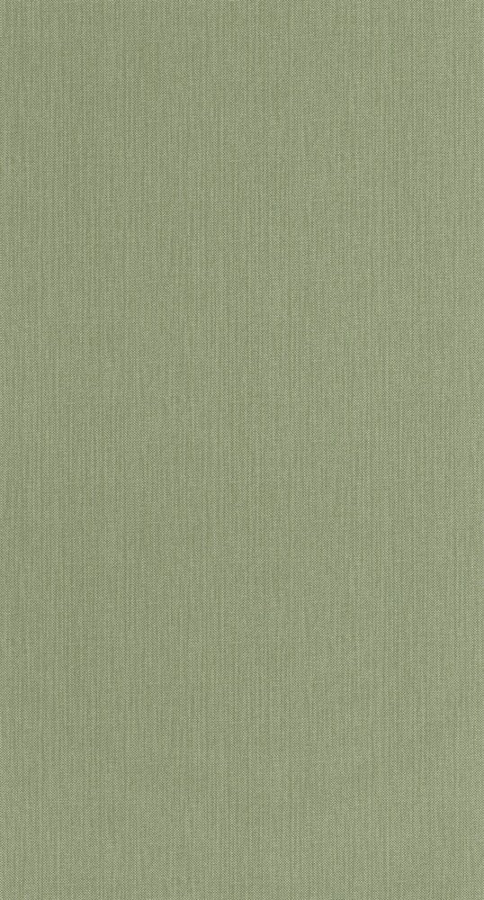 Caselio Natt&eacute; 2 NAE2101567450 Groen