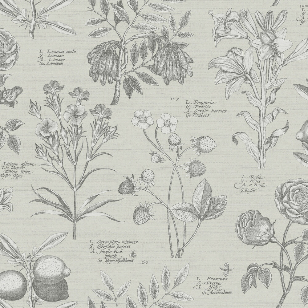 Dutch First Class The Bloom Collection 100293OL  (incl. Gratis Lijm*)