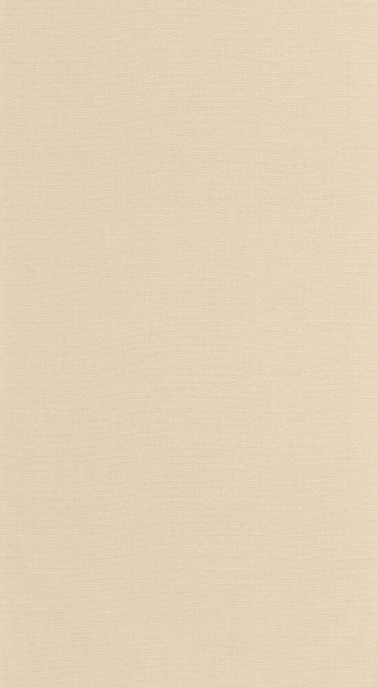 Caselio Cocoon 107991010 Beige (incl. Gratis Lijm*)