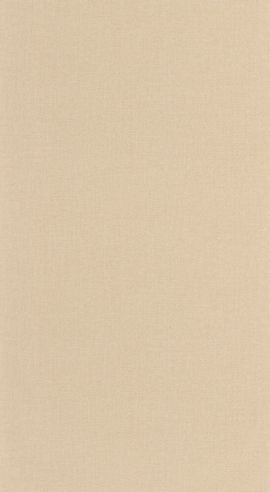 Caselio Cocoon 107991120 Beige (incl. Gratis Lijm*)