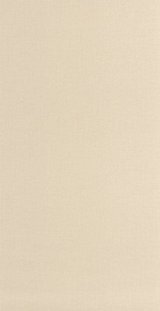 Caselio Cocoon 107991300 Beige (incl. Gratis Lijm*)