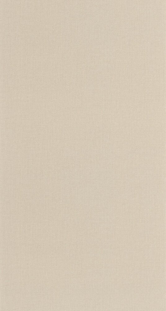 Caselio Cocoon 107991426 Beige (incl. Gratis Lijm*)