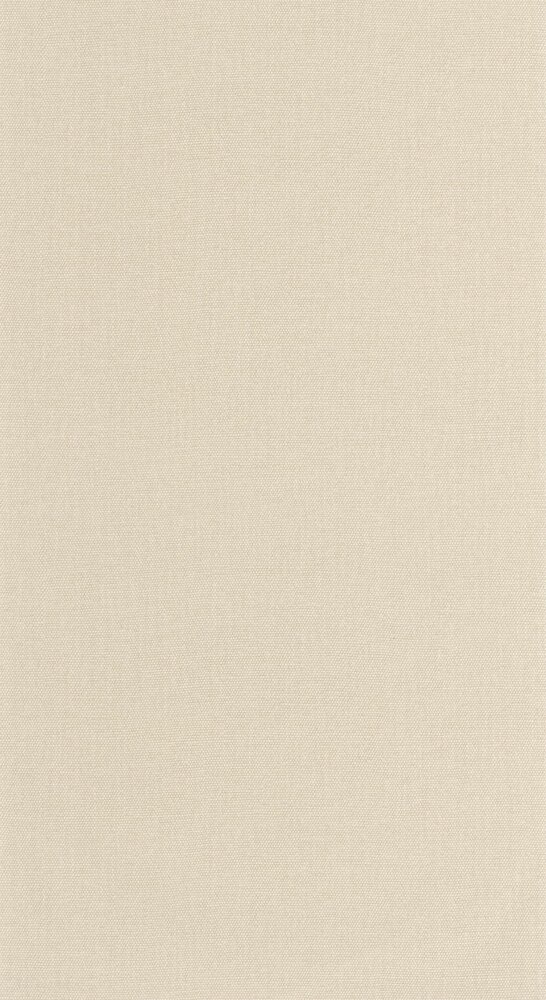 Caselio Cocoon 107991792 Beige (incl. Gratis Lijm*)