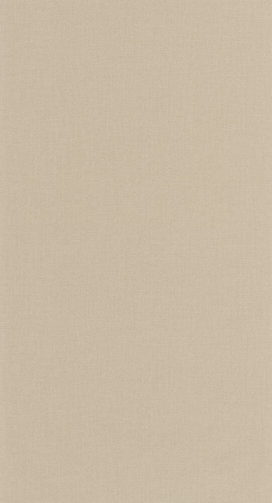 Caselio Cocoon 107991800 Beige (incl. Gratis Lijm*)
