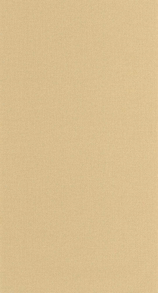 Caselio Cocoon 107992460 Beige (incl. Gratis Lijm*)