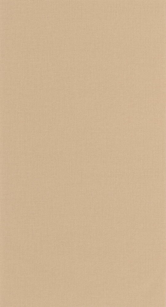 Caselio Cocoon 107992583 Beige (incl. Gratis Lijm*)