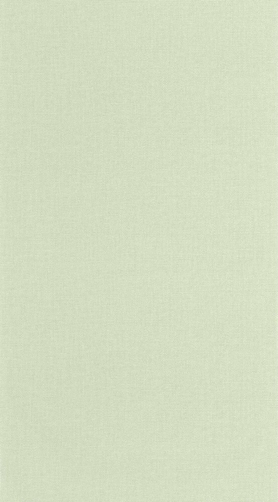 Caselio Cocoon 107997250 Groen (incl. Gratis Lijm*)