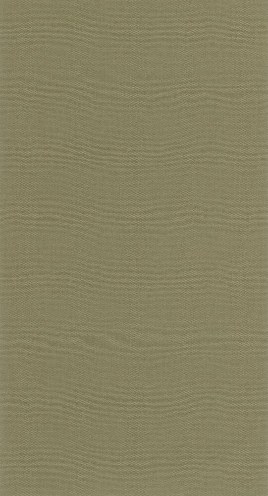 Caselio Cocoon 107997570 Groen (incl. Gratis Lijm*)
