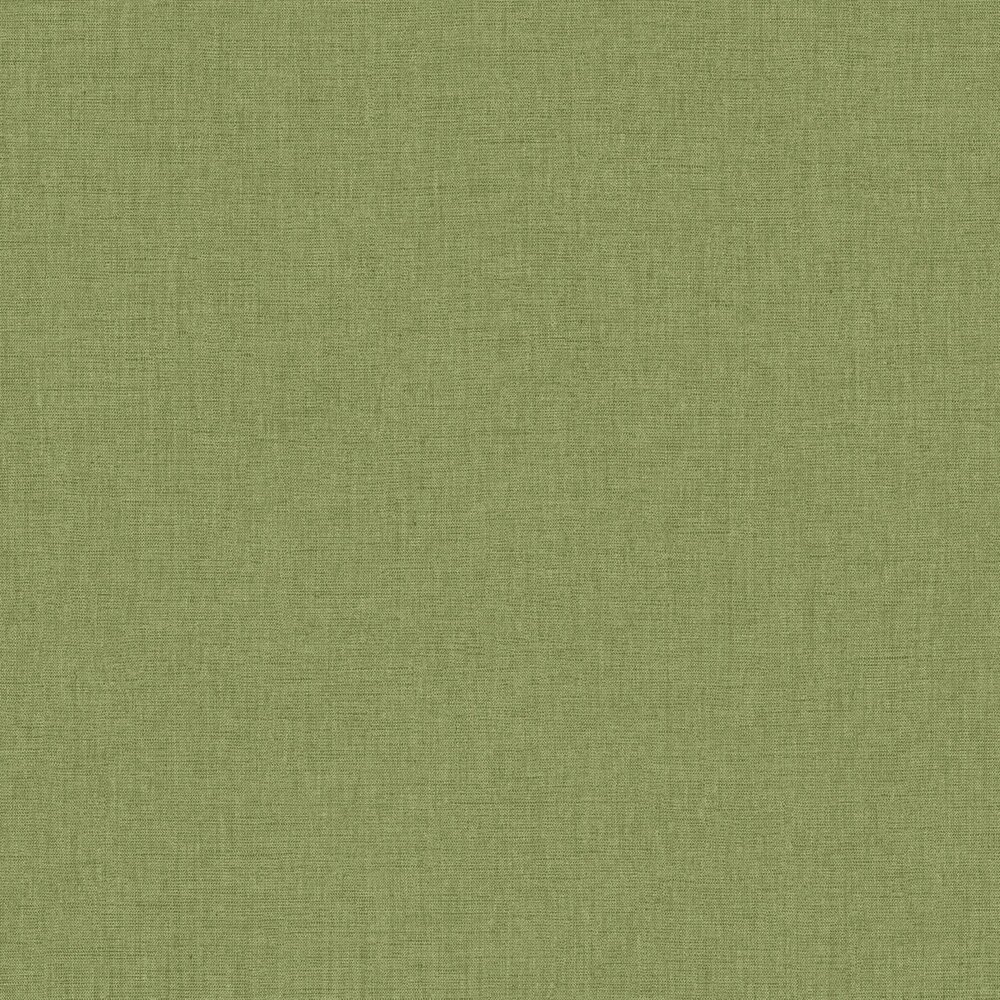 Caselio Solstice 103227864 Groen (incl. Gratis Lijm*)