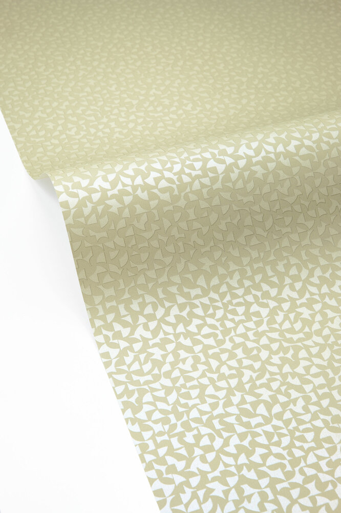 Caselio Forma 107987046 Groen (incl. Gratis Lijm*)