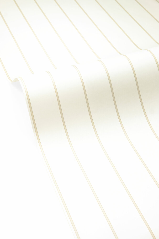Caselio Solstice 107930181 Beige (incl. Gratis Lijm*)