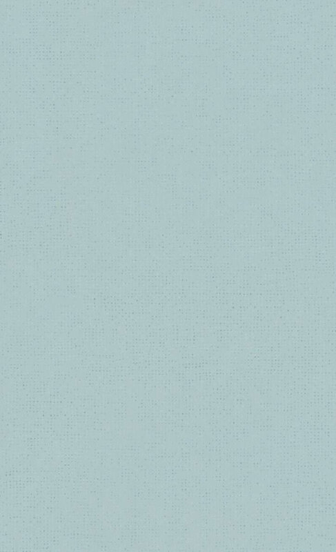 BN Wallcoverings Smalltalk 219316 - Blauw