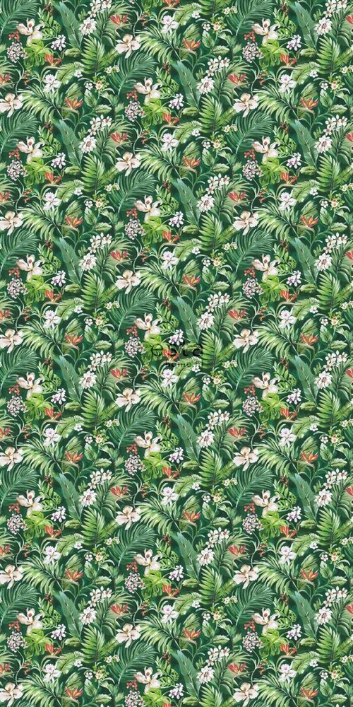 Esta Home Jungle Fever 158893 (incl. Gratis Lijm*) - Groen