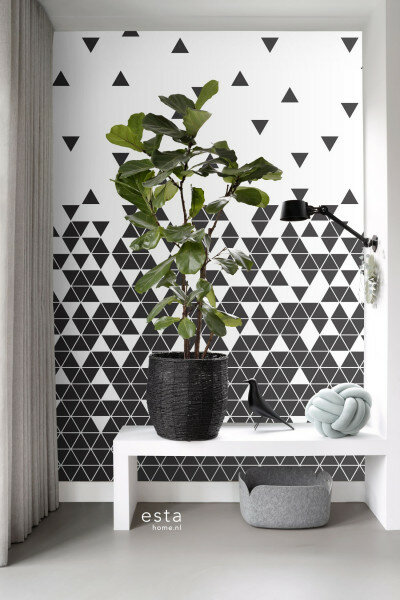 Esta Home Scandi Cool 158906 (incl. Gratis Lijm*) - Zwart Wit