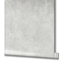 Noordwand Assorti 2024 58001 Metallic - Grijs