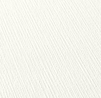 AS Creation 111 Shades of White 2885-78 / 288578 - Wit