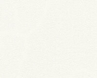 AS Creation 111 Shades of White 3250-13 / 325013 - Wit