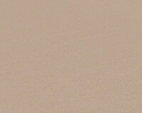 AS Creation Antigua 39098-3 / 390983 Beige