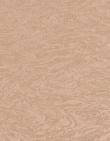 Dutch Wall Decor Erismann Elle Decoration 3 10330-48 Brons