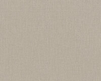 AS Creation Terra - 2117-12 / 211712 Grijs / Taupe