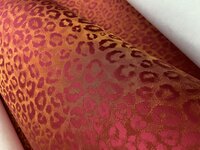Dutch First Class Amazon River AR9802 (*incl. Gratis Lijm*) Oranjerood