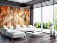FBK Bos Fotobehang 10471