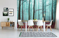 FBK Bomen Fotobehang 2657