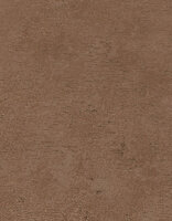 Dutch Wall Decor Collage 10385-48 Bronze / Rood