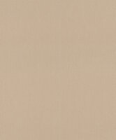 Rasch Deco Style 312416 Beige