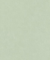 Rasch Deco Style 415377 Groen