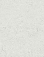 Dutch Wall Decor Play of Light 10418-31 / 5021041831 Wit