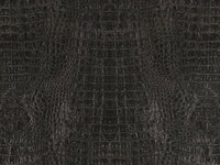 BN Wallcoverings Curious / Inspire 17950 - Zwart