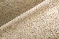 Arte ALL NATURALS FRINGE 40321A Beige / Zilver (incl. Gratis Lijm*)