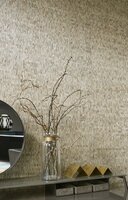 Arte ALL NATURALS FRINGE 40321A Beige / Zilver (incl. Gratis Lijm*)