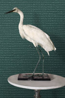 Origin Wallcoverings Luxury Skins (incl. Gratis Lijm*) 347780 - Blauw